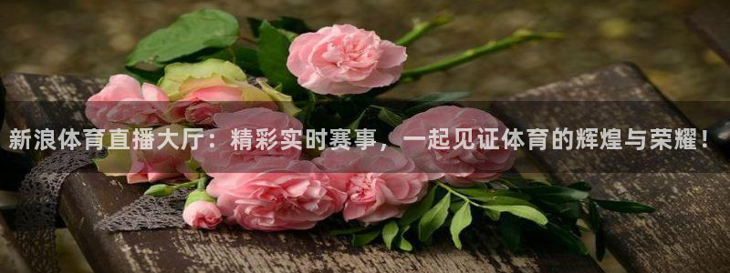 搜球吧零点吧nba直播：新浪体育直播大厅：精彩实时赛事，一起见证体育的辉煌与荣耀！