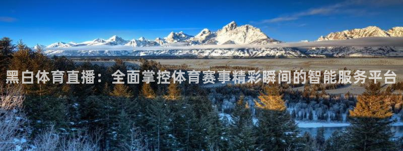 搜球吧nba在线直播：黑白体育直播：全面掌控体育赛事精彩瞬间的智能服务平台