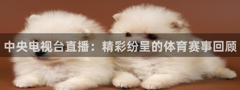 搜球吧直播：中央电视台直播：精彩纷呈的体育赛事回顾