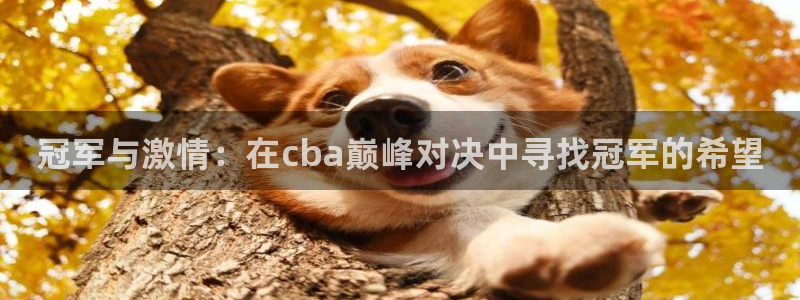 搜球吧在线直播nba：冠军与激情：在cba巅峰对决中寻找冠军的希望