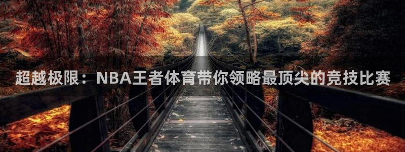 搜球体育：超越极限：NBA王者体育带你领略最顶尖的竞技比赛