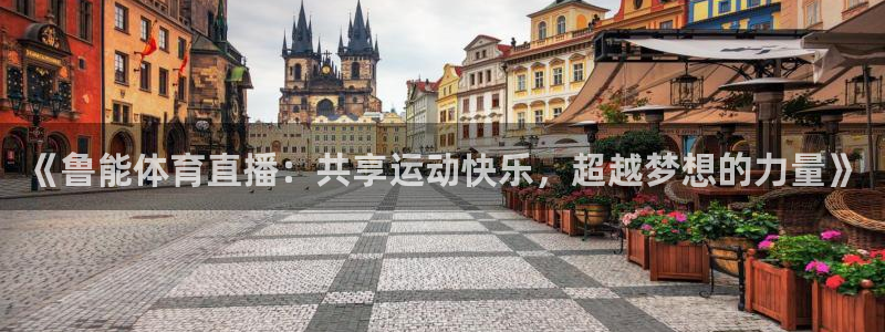 搜球体育直播：《鲁能体育直播：共享运动快乐，超越梦想的力量》