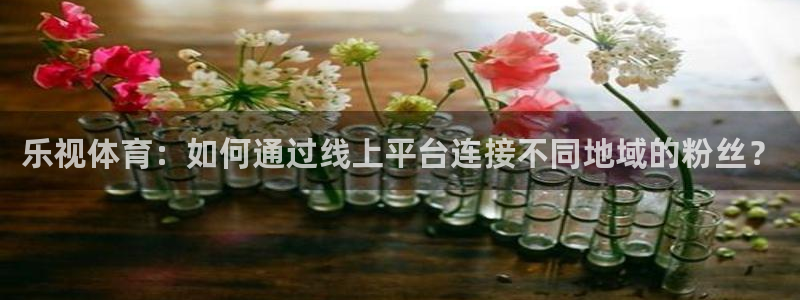 搜球直播吧：乐视体育：如何通过线上平台连接不同地域的粉丝？