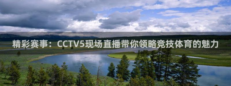 搜球吧直播 在线观看：精彩赛事：CCTV5现场直播带你领略竞技体育的魅力